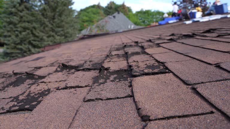 Best Roof Coating and Sealing  in Leola, PA